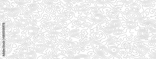 Abstract white background with subtle gray wavy lines and organic shapes.