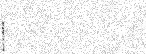 Abstract white pattern with intricate details and organic shapes.