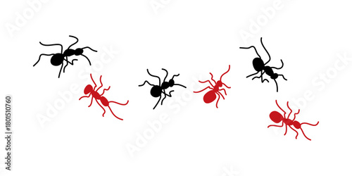 Ants set illustration vector design