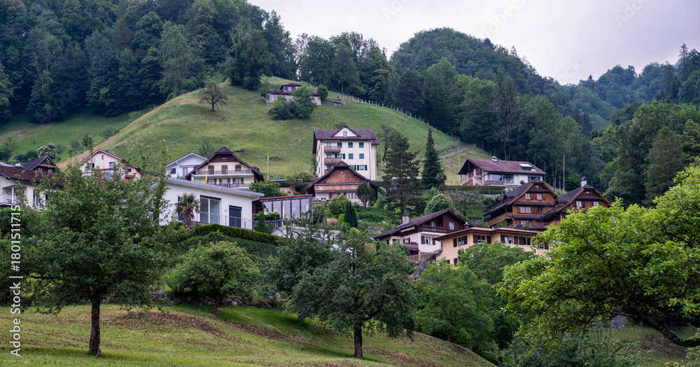 Obraz premium Houses scattered across a green hillside in a mountainous alpine village, surrounded by dense forest and meadows. Traditional chalets blend into the natural landscape under a cloudy sky.