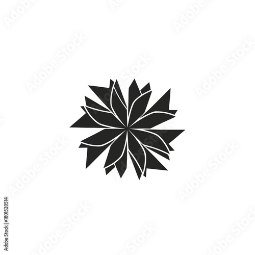 Abstract black and white starburst graphic design element.