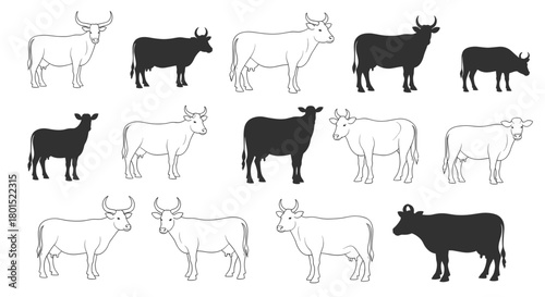 A collection of black and white cow illustrations in various poses and sizes.