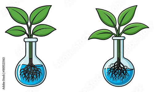 Two cartoon plants with roots in water-filled laboratory flasks, science experiment
