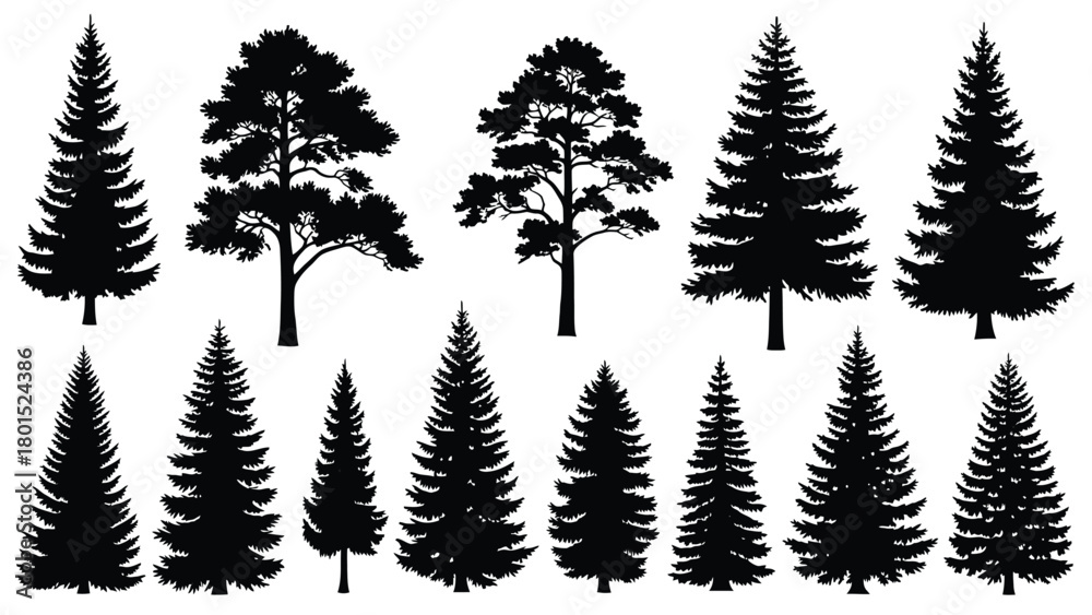 Fototapeta premium Collection of Diverse Evergreen Coniferous Trees Portrayed as Silhouettes in Various Shapes and Sizes for Natural Landscape Design Elements