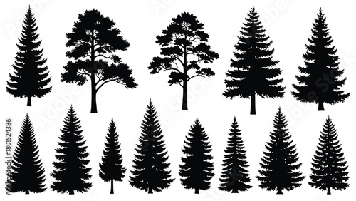 Collection of Diverse Evergreen Coniferous Trees Portrayed as Silhouettes in Various Shapes and Sizes for Natural Landscape Design Elements