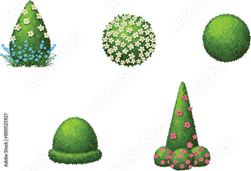 Decorative garden topiary bushes with flowers, trimmed greenery plants, floral shaped shrubs collection, botanical landscaping elements illustration for outdoor garden design