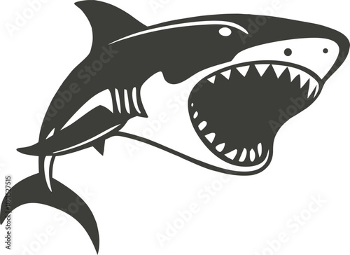 Fierce shark illustration with open mouth and sharp teeth