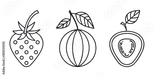 Hand drawn outline of strawberry, melon and avocado isolated on for coloring book page