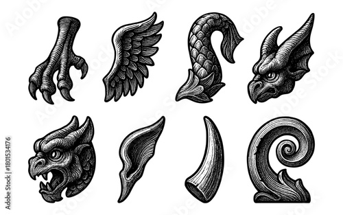 Engraved mythical creature parts: claw, wing, tail, horns, and more in detailed black ink