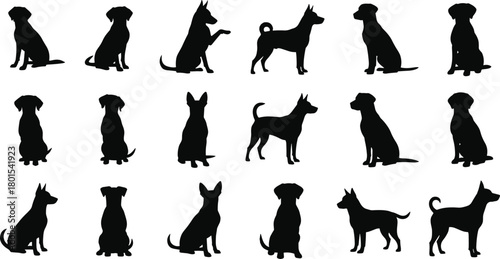 Dog silhouettes collection, black dog icons, pet breed shapes, animal posture set, canine vector graphics, dog clipart pack, isolated dogs