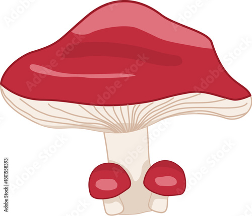 Mushroom Handdrawn