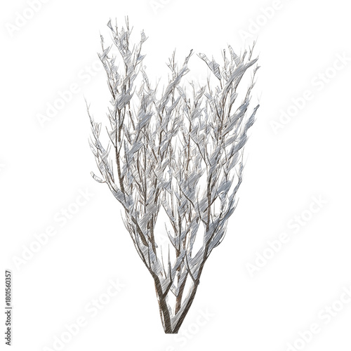 Bush snow covered isolated transparent background sketch PNG
