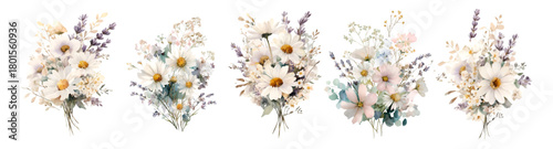 Watercolor set of bouquets of wild flowers with daisies. Delicate white daisies, lavender sprigs and decorative greenery. Summer bouquets of field and meadow flowers hand painted. 