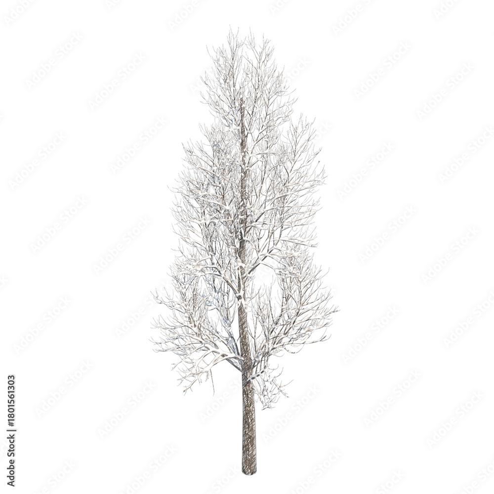 Naklejka premium Tree snow covered isolated transparent background sketch PNG 