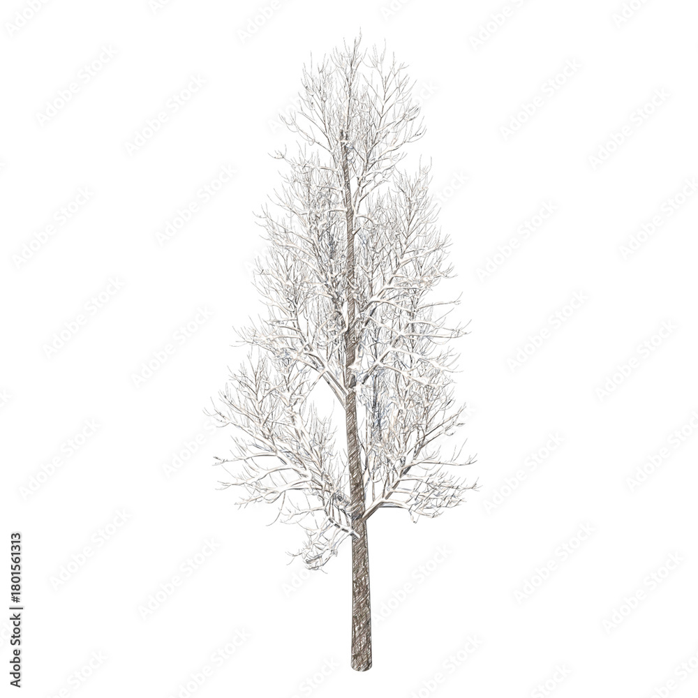 Obraz premium Tree snow covered isolated transparent background sketch PNG 