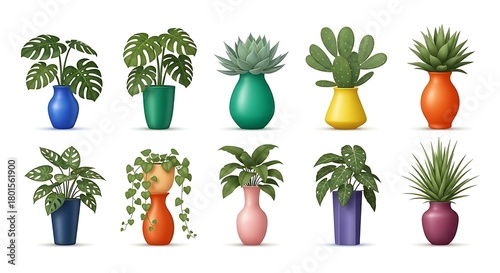 Indoor plants in colorful pots vector illustration home decor plant collection set design