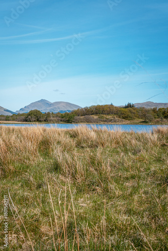Sunny summer landscape of Scottish Highlands with tall wild grass and loch