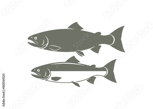 clip art illustration of salmon and trout

