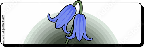Two bluebell flowers hang from a stem against a light background.