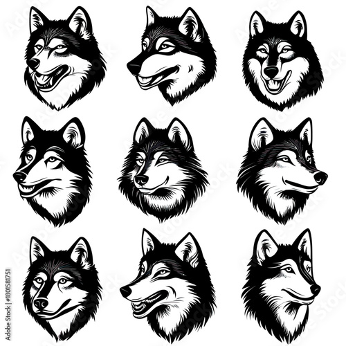 Set of nine black and white husky dog head illustrations with varied expressions in flat minimalist vector style for logos and design elements