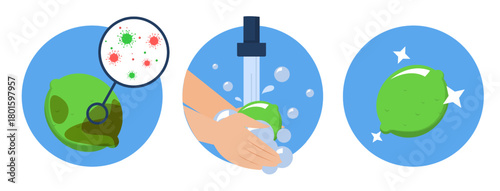 Washing lime concept vector isolated. Dirty fruit full of bacteria before and clean product after washing in the water. Hands wash citrus with soap.