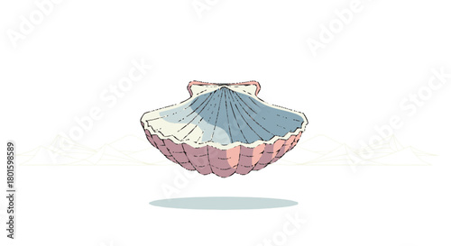 Beautifully illustrated open scallop seashell with colorful details.
