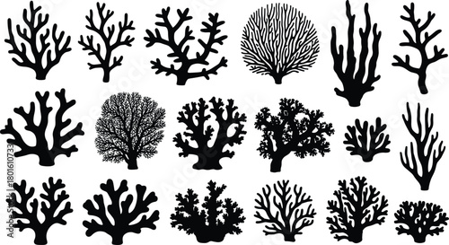 Collection of coral silhouettes, marine reef clipart, underwater sea life shapes, ocean botanical elements, coral icons for design, nature illustration set