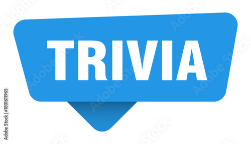 trivia sticker. trivia blue sign isolated on transpatent background