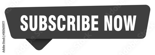 subscribe now black sign isolated on transpatent background. subscribe now sticker