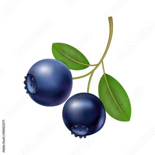 Blueberry branch with glossy leaves, forager picked plump berries on slender stem, light dewdrops, textured skin, vibrant deepblue tones, rustic market mood, healthy