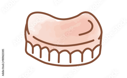 介護向けの入れ歯の水彩手描きイラスト Upper Denture Illustration
