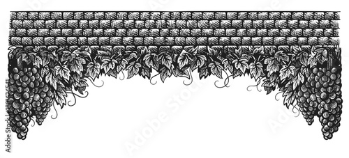 Grapes vineyard, grapevine with bunches of grapes on vintage stone wall black and white vector illustration. Set of sketch style vine branches leaves. Wine labels design, branding border hand drawn de