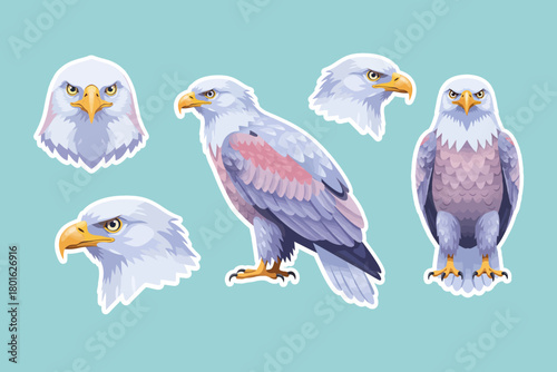 A collection of eagle vector illustrations. Vector clipart designs of predatory birds with clean backgrounds.