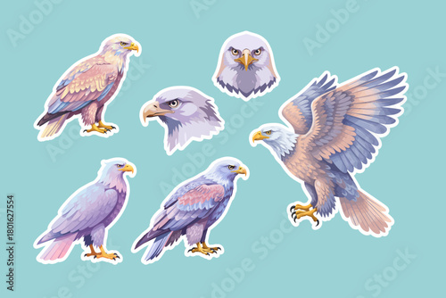 A collection of eagle vector illustrations. Vector clipart designs of predatory birds with clean backgrounds.