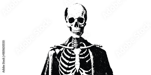 Human skeleton distressed grunge illustration on white background isolated on transparent background