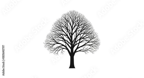 Elegant silhouette of a bare deciduous tree, intricate branches against a white background, perfect for winter, holiday, and Christmas-themed designs.