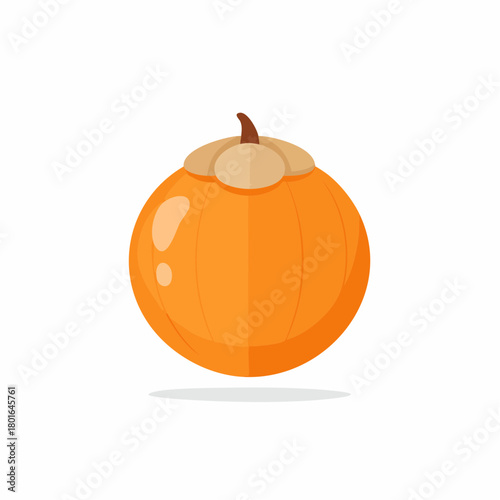 Orange fruit illustration with shadow and stem design. Conceptual food art for design and decoration.