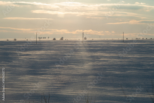 Expansive winter landscape featuring a vast snow-covered field under a soft, cloudy sky with distant trees and power lines creating a serene, tranquil atmosphere