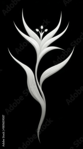 Stylized white plant illustration with sleek lines, elegant, representing growth and organic beauty, on a black background, "Innovate & Grow" concept