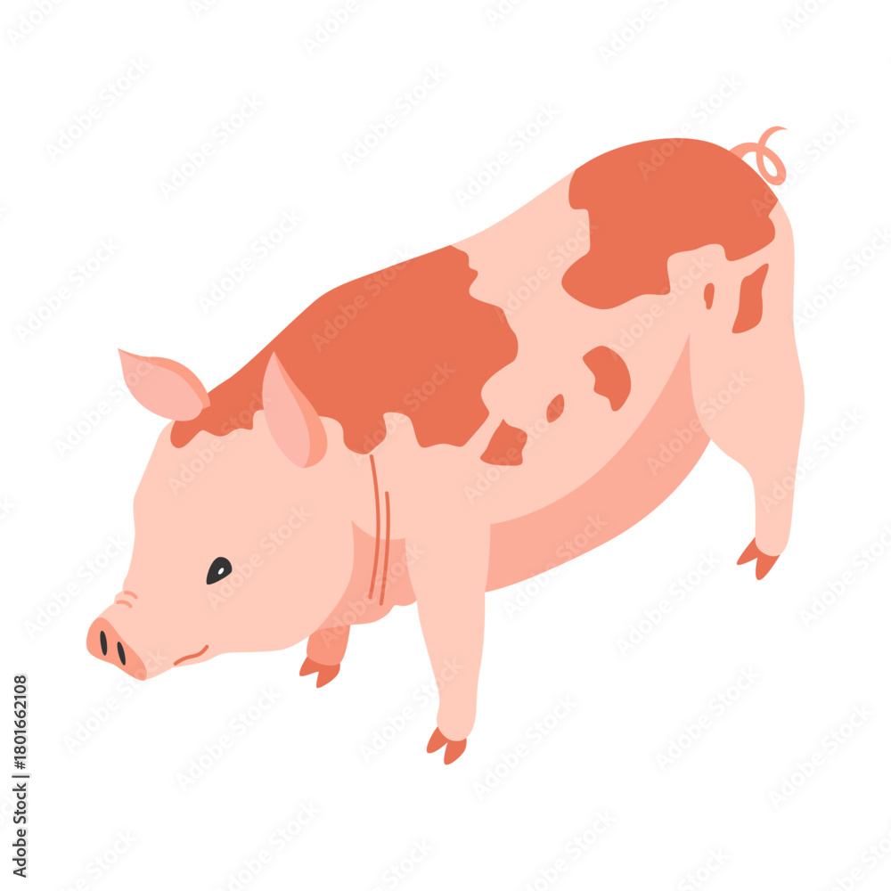 Obraz premium Farm animal isometric. Domestic animal in 3d flat back and front view. Cute game character of pig. Vector icon