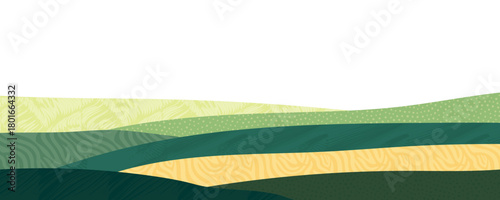 Rice field collage pattern or abstract agriculture vector background with texture. Stripe japan farmland, green ecology design. Rural farm, Thailand countryside, agro illustration. Eco vineyard banner