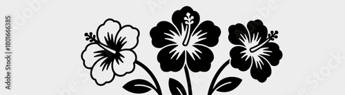Tropical hibiscus flowers, minimal black & white design, isolated