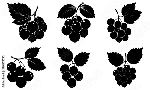 Illustration showing six bunches of grapes with leaves in black silhouette on a white background design
