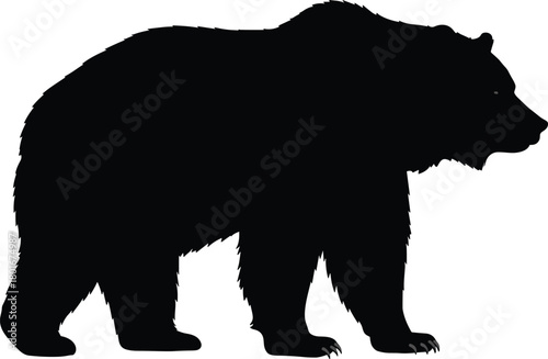 Bear silhouette illustration, wild animal outline, wildlife vector graphic, black bear shadow, nature symbol, forest creature icon, grizzly bear art