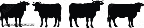 Black cow silhouettes standing in a row, livestock animal shapes, farm cattle herd design, rural agriculture concept, vector illustration