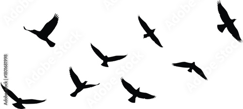 Canvas Print Flying bird silhouettes vector set, flock of birds illustration, black outline d