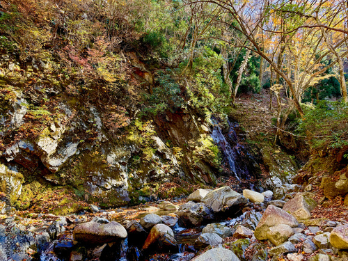 御在所岳周辺の鈴鹿山系千種街道へ続くコクイ谷の紅葉11月中旬