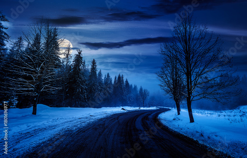 winding road through winter forest at night. beautiful nature scenery with naked trees on foggy weather in full moon light. transportation background. backdrop for fiction art or mystery concepts