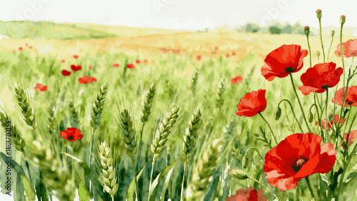 Nature's Beauty Wheat and Poppies isolated watercolor vector illustration svg