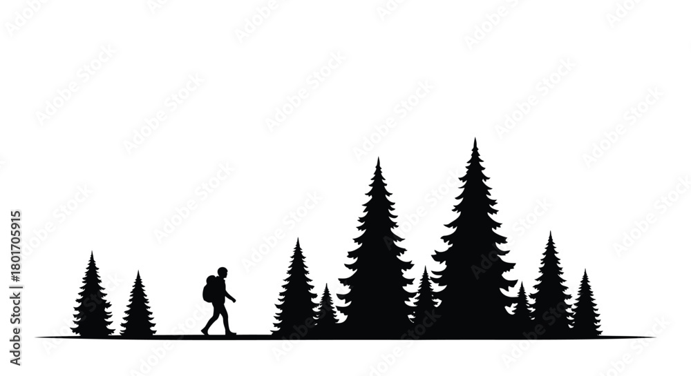 Obraz premium Lone hiker with backpack walks through a dense forest of evergreen pine trees in silhouette